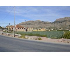 Se vende parcela agraria de 6.841m2 en Orihuela, zona de Camino de Enmedio.