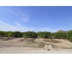Se vende Terreno rural de 2.600m2 en la zona Vereda Los Cacheros en Santomera, Murcia.