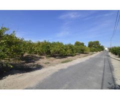 Se vende Terreno rural de 2.600m2 en la zona Vereda Los Cacheros en Santomera, Murcia.