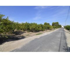 Se vende Terreno rural de 2.600m2 en la zona Vereda Los Cacheros en Santomera, Murcia.