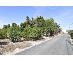 Se vende Terreno rural de 2.600m2 en la zona Vereda Los Cacheros en Santomera, Murcia.