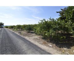 Se vende Terreno rural de 2.600m2 en la zona Vereda Los Cacheros en Santomera, Murcia.