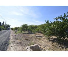 Se vende Terreno rural de 2.600m2 en la zona Vereda Los Cacheros en Santomera, Murcia.