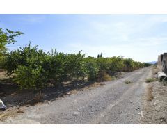 Se vende Terreno rural de 2.600m2 en la zona Vereda Los Cacheros en Santomera, Murcia.