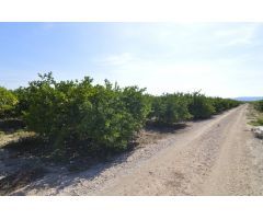 Terreno rústico agrario de 5.427m2 en la zona Vereda Los Cacheros en Santomera, Murcia.