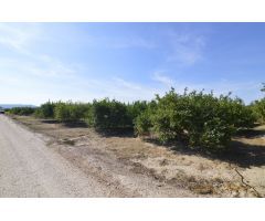 Terreno rústico agrario de 5.427m2 en la zona Vereda Los Cacheros en Santomera, Murcia.