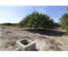 Terreno rústico agrario de 5.427m2 en la zona Vereda Los Cacheros en Santomera, Murcia.