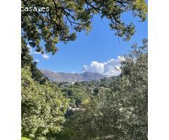 Finca Rustica en Casares - Oportunidad Única