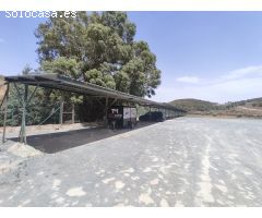 Restaurante Museo el Molino Blanco