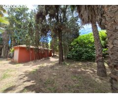 Finca Rustica en El Castor
