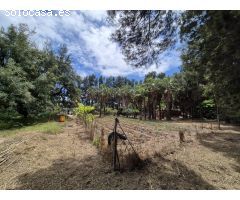 Finca Rustica en El Castor