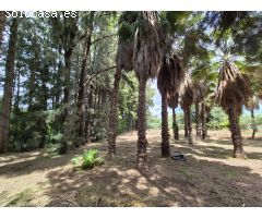 Finca Rustica en El Castor