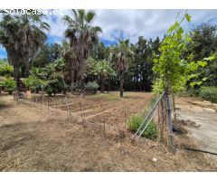 Finca Rustica en El Castor