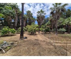 Finca Rustica en El Castor