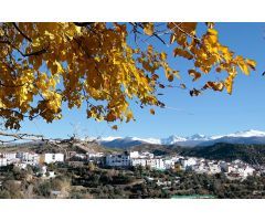 Casa con terreno en Venta en Huetor de Santillan, Granada