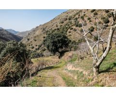 ESPECTACULAR TERRENO EN PARAJE DE LAS MAJADILLAS