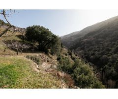 ESPECTACULAR TERRENO EN PARAJE DE LAS MAJADILLAS