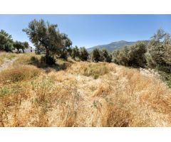 Venta de 6.634 m2 de suelo urbano en Güejar Sierra (Granada)