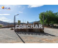 ESTUPENDA PARCELA EN CÓNCHAR