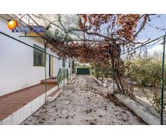 Moraleda de Zafayona -