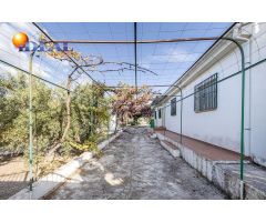 Moraleda de Zafayona -