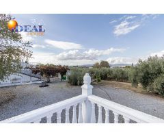 Moraleda de Zafayona -