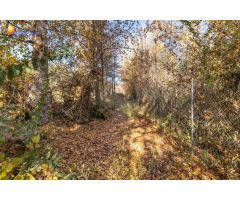 MAGNÍFICA FINCA JUNTO URBANIZACIÓN MOLINO ALTO