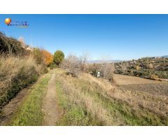 MAGNÍFICA FINCA JUNTO URBANIZACIÓN MOLINO ALTO