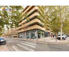 PARQUE DEL GENIL