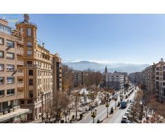 Pisazo súper luminoso en la mejor calle de Granada