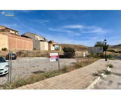 Probablemente la mejor parcela de Alhama para construir el chalet de tus sueños. Ahora a la venta.