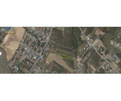 MAGNÍFICA PARCELA CERCANA A CTRA. DE URB. EL TORREÓN