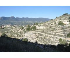 Terreno rural en venta en Tibi