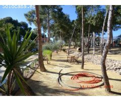 MAGNÍFICA FINCA DE 90.000MTS EN AGOST