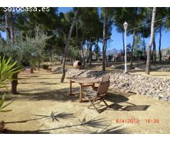 MAGNÍFICA FINCA DE 90.000MTS EN AGOST