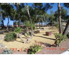 MAGNÍFICA FINCA DE 90.000MTS EN AGOST