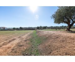Terreno urbano en Venta en Ogíjares, Granada