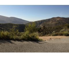 VENTA DE BONITA FINCA DE OLIVOS EN LANJARÓN (GRANADA)