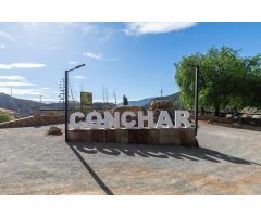 ESTUPENDA PARCELA EN CÓNCHAR
