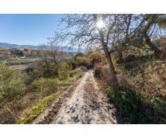 MAGNÍFICA FINCA JUNTO URBANIZACIÓN MOLINO ALTO