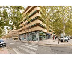 PARQUE DEL GENIL