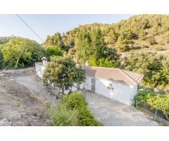 CORTIJO EN MONTEFRÍO!!