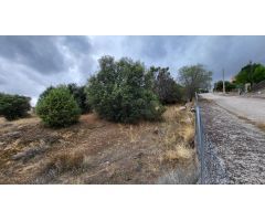 PARCELA EN SANTA CRUZ DE PINARES, (ÁVILA) 05268