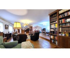 CHALET CON PARCELA DE 5000 MT. EN BRIEVA (ÁVILA) 05194