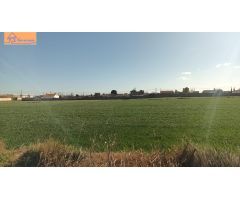 TERRENO PINSEQUE