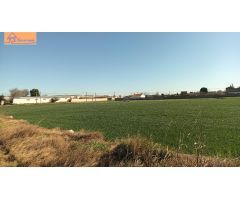 TERRENO PINSEQUE