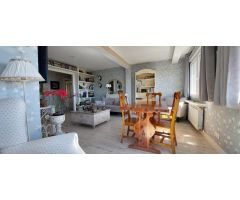 Chalet independiente en Cercedilla