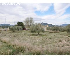 TERRENO RUSTICO