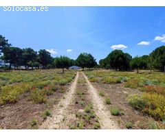 FINCA RUSTICA JUNTO CARRETERA MADRID EN LA PEDRAJA DE PORTILLO