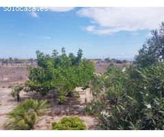 Chalet en Venta en La Marina, Alicante